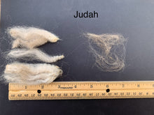 Load image into Gallery viewer, Raw Alpaca Fleece - Fawn "Judah" - 4lb