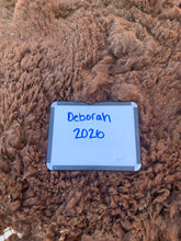 Load image into Gallery viewer, Raw Alpaca Fleece - Dark Brown "Deborah" - Grade 2 - 2lb 14oz