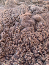 Load image into Gallery viewer, Raw Alpaca Fleece - Dark Brown "Deborah" - Grade 2 - 2lb 14oz