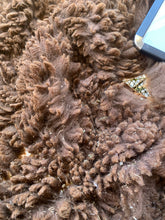 Load image into Gallery viewer, Raw Alpaca Fleece - Brown "Titus" - Grade 2 - 2lb 7oz