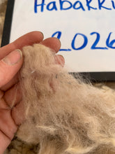 Load image into Gallery viewer, Raw Alpaca Fleece - Lt. Fawn "Habakkuk" - Grade 3 - 2lb 9oz