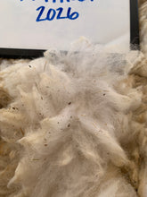 Load image into Gallery viewer, Raw Alpaca Fleece -White "Nathan" - Grade 2 - 3lb 14oz
