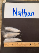 Load image into Gallery viewer, Raw Alpaca Fleece -White "Nathan" - Grade 2 - 3lb 14oz