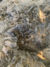 Load image into Gallery viewer, Raw Alpaca Fleece - Pure Black "Agape" - Grade 3 - 3lb 12oz