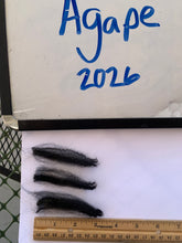 Load image into Gallery viewer, Raw Alpaca Fleece - Pure Black "Agape" - Grade 3 - 3lb 12oz