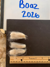 Load image into Gallery viewer, Raw Alpaca Fleece - Lt. Fawn "Boaz" - Grade 2 - 2lb 3oz