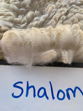 Load image into Gallery viewer, Raw Alpaca Fleece - White "Shalom" - Grade 1 - 2lb 9oz