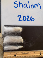 Load image into Gallery viewer, Raw Alpaca Fleece - White "Shalom" - Grade 1 - 2lb 9oz