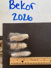 Load image into Gallery viewer, Raw Alpaca Fleece - Fawn "Bekor" - Grade 3 - 2lb 9oz