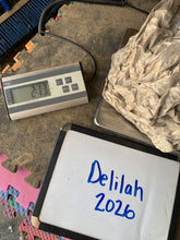 Load image into Gallery viewer, Raw Alpaca Fleece - Beige "Delilah" - Grade 1 - 2lb 10oz