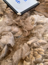 Load image into Gallery viewer, Raw Alpaca Fleece - Multi-Color "Phoebe" - Grade 2 - 2lb 15oz