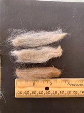 Load image into Gallery viewer, Raw Alpaca Fleece - Multi-Color "Phoebe" - Grade 2 - 2lb 15oz