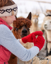 Load image into Gallery viewer, Winter Walking Mitts