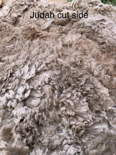 Load image into Gallery viewer, Raw Alpaca Fleece - Fawn "Judah" - 4lb
