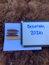 Load image into Gallery viewer, Raw Alpaca Fleece - Dark Brown "Deborah" - Grade 2 - 2lb 14oz
