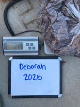 Load image into Gallery viewer, Raw Alpaca Fleece - Dark Brown "Deborah" - Grade 2 - 2lb 14oz
