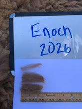 Load image into Gallery viewer, Raw Alpaca Fleece - Dark Fawn "Enoch" - Grade 3 - 1lb 13oz
