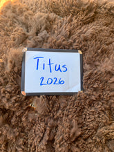 Load image into Gallery viewer, Raw Alpaca Fleece - Brown "Titus" - Grade 2 - 2lb 7oz
