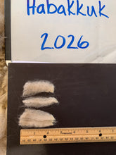 Load image into Gallery viewer, Raw Alpaca Fleece - Lt. Fawn "Habakkuk" - Grade 3 - 2lb 9oz
