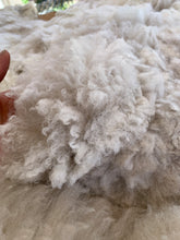 Load image into Gallery viewer, Raw Alpaca Fleece -White "Nathan" - Grade 2 - 3lb 14oz
