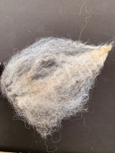 Load image into Gallery viewer, Raw Alpaca Fleece -White "Nathan" - Grade 2 - 3lb 14oz
