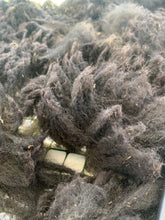 Load image into Gallery viewer, Raw Alpaca Fleece - Pure Black "Agape" - Grade 3 - 3lb 12oz
