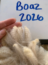 Load image into Gallery viewer, Raw Alpaca Fleece - Lt. Fawn "Boaz" - Grade 2 - 2lb 3oz
