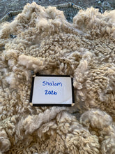 Load image into Gallery viewer, Raw Alpaca Fleece - White "Shalom" - Grade 1 - 2lb 9oz
