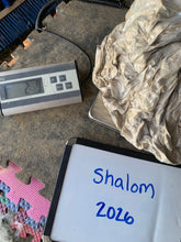 Load image into Gallery viewer, Raw Alpaca Fleece - White "Shalom" - Grade 1 - 2lb 9oz
