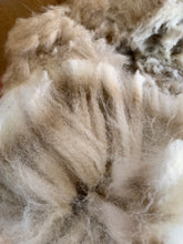 Load image into Gallery viewer, Raw Alpaca Fleece - White "Paul" - Grade 1 - 3lb 4oz
