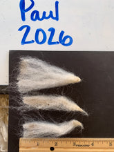 Load image into Gallery viewer, Raw Alpaca Fleece - White "Paul" - Grade 1 - 3lb 4oz
