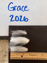 Load image into Gallery viewer, Raw Alpaca Fleece - White "Grace" - Grade 1 - 2lb 15oz
