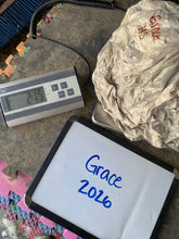 Load image into Gallery viewer, Raw Alpaca Fleece - White "Grace" - Grade 1 - 2lb 15oz
