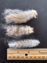 Load image into Gallery viewer, Raw Alpaca Fleece - Fawn "Bekor" - Grade 3 - 2lb 9oz
