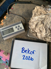 Load image into Gallery viewer, Raw Alpaca Fleece - Fawn "Bekor" - Grade 3 - 2lb 9oz
