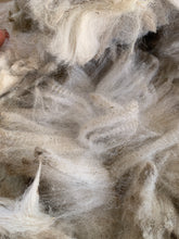 Load image into Gallery viewer, Raw Alpaca Fleece - White "Sapphira" - Grade 1 - 4lb 0oz
