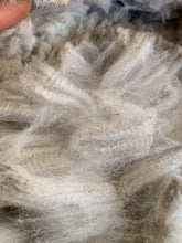 Load image into Gallery viewer, Raw Alpaca Fleece - White "Sapphira" - Grade 1 - 4lb 0oz
