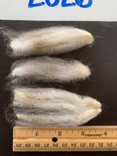 Load image into Gallery viewer, Raw Alpaca Fleece - White "Sapphira" - Grade 1 - 4lb 0oz
