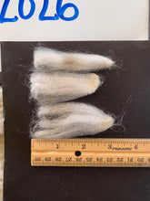 Load image into Gallery viewer, Raw Alpaca Fleece - Beige "Delilah" - Grade 1 - 2lb 10oz
