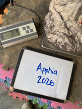 Load image into Gallery viewer, Raw Alpaca Fleece - Lt. Rose "Apphia" - Grade 1 - 2lb 9oz
