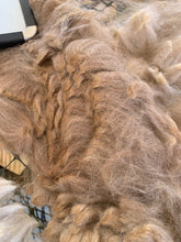 Load image into Gallery viewer, Raw Alpaca Fleece - Multi-Color "Phoebe" - Grade 2 - 2lb 15oz
