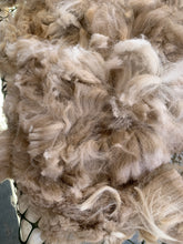 Load image into Gallery viewer, Raw Alpaca Fleece - Multi-Color "Phoebe" - Grade 2 - 2lb 15oz

